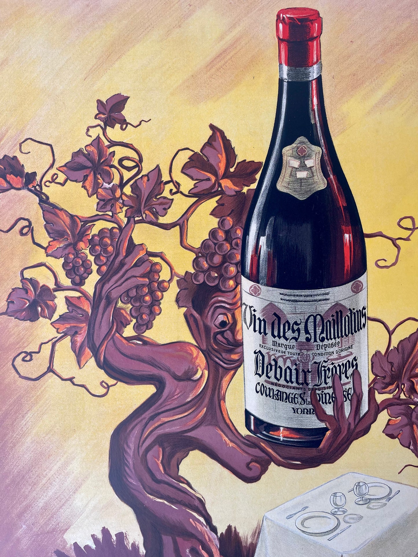 Vin de Maillotins by Andre Ducre
