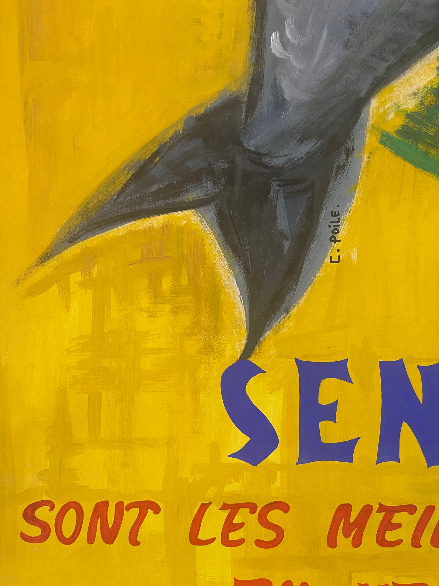 Sardines Senidras by E.Poile