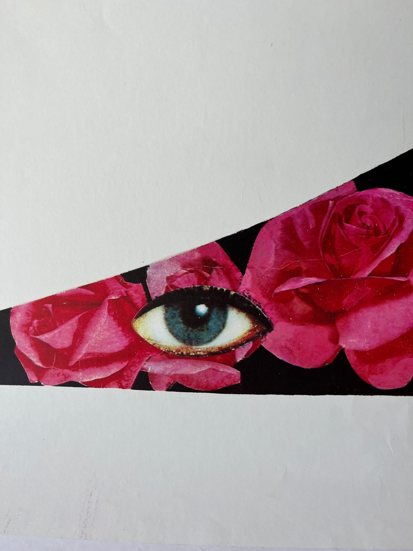 Bally Roses by Bezombes