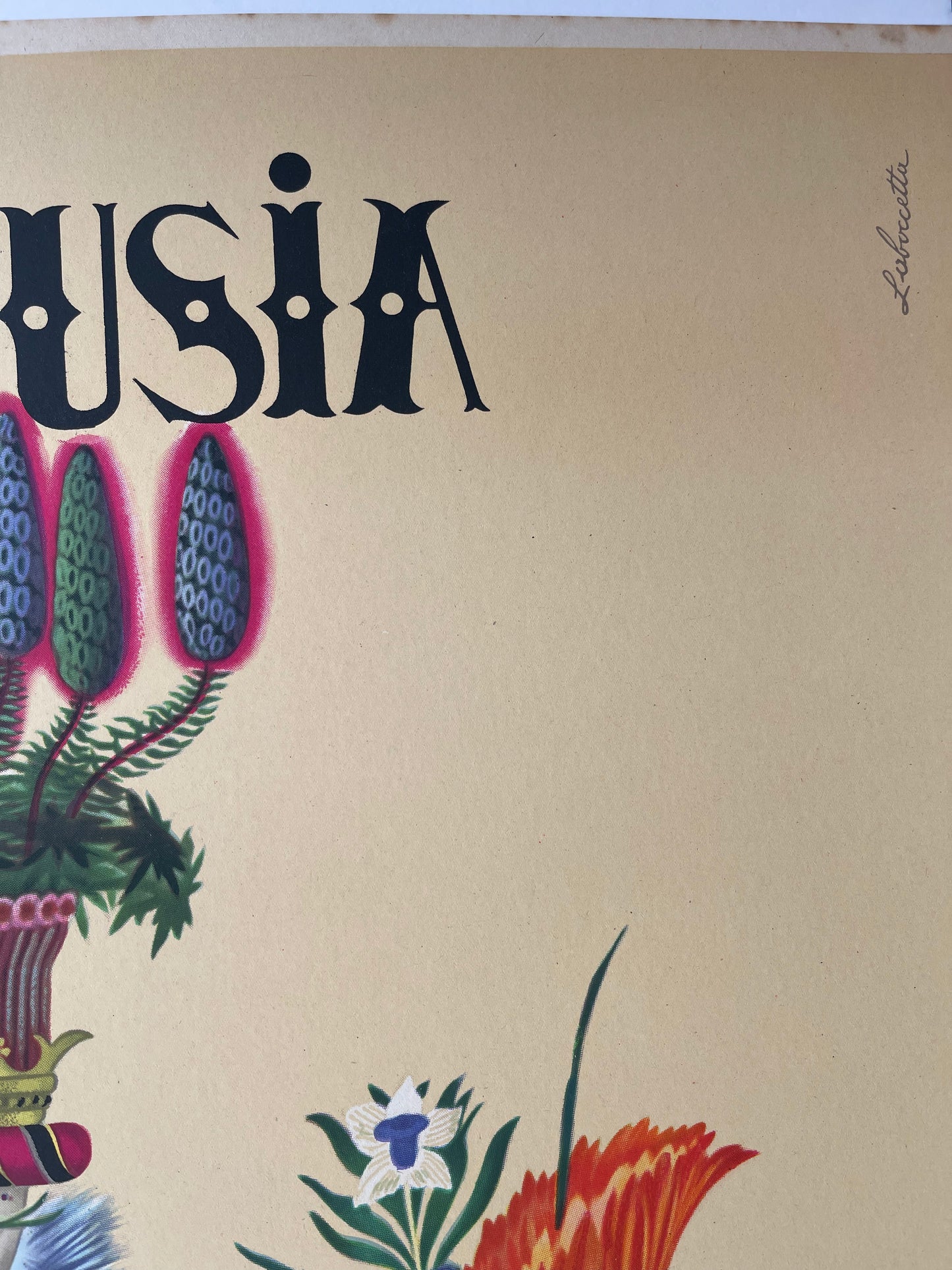 Carthusia Perfume