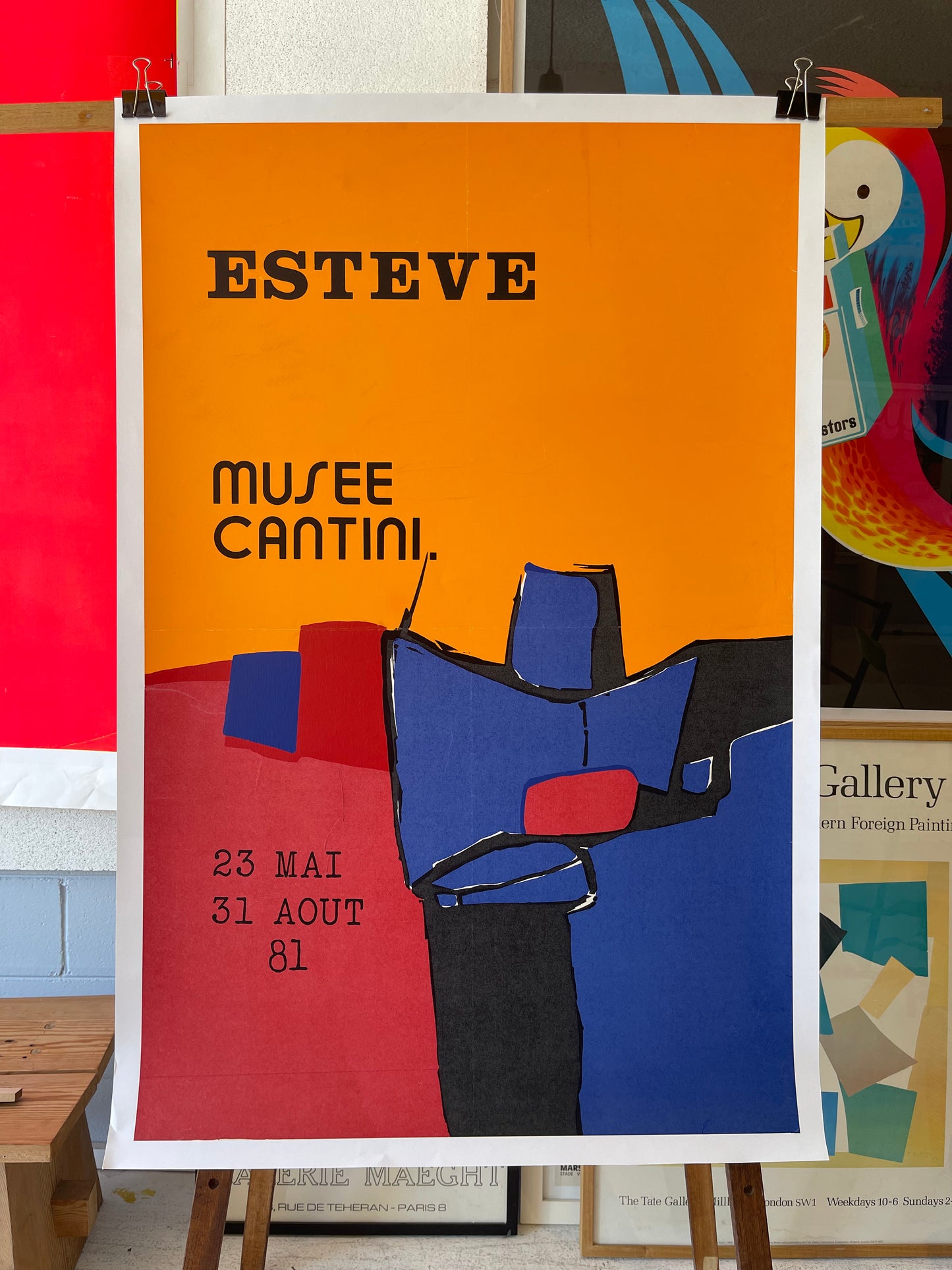 Esteve by Cantini