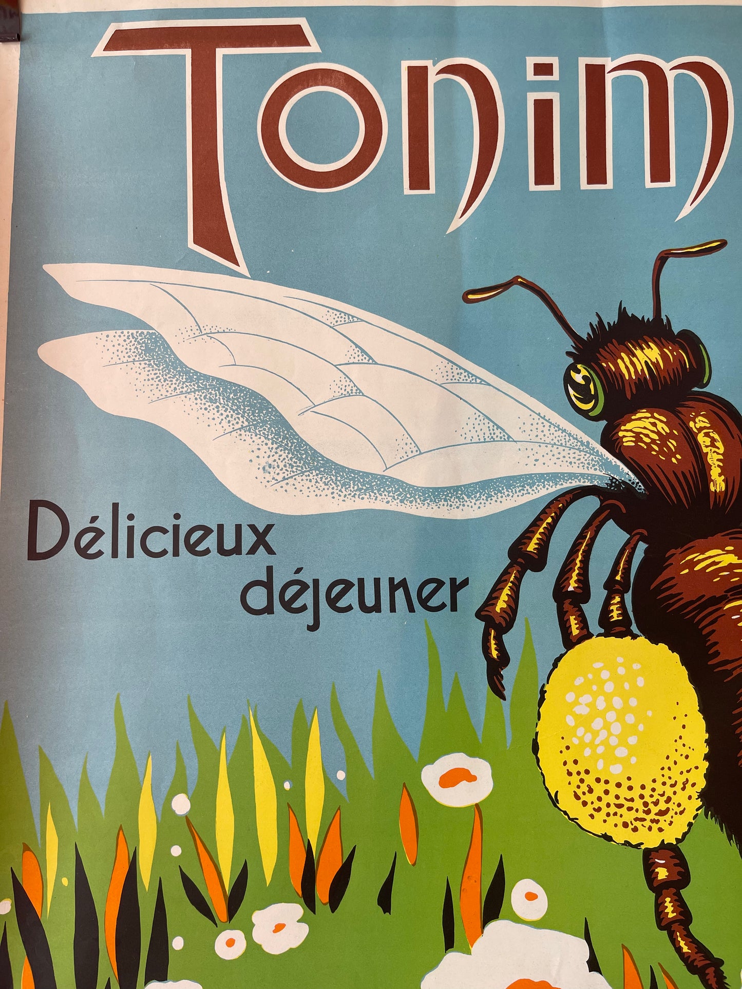 Tonimel Cao Vintage Poster