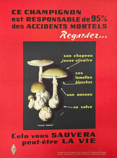 Poisonous Mushrooms – Amanita Phalloides