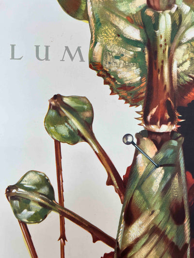 Musée Royal du Congo Belge