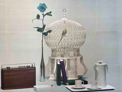 Schneider – Still Life