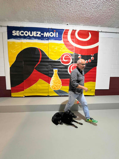 Villemot: Secouez-moi Perrier (Grande)