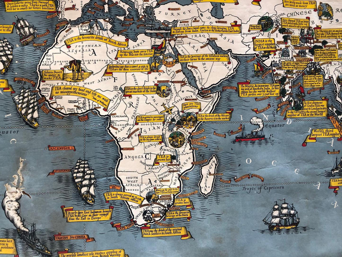 Tea Revives the World Map