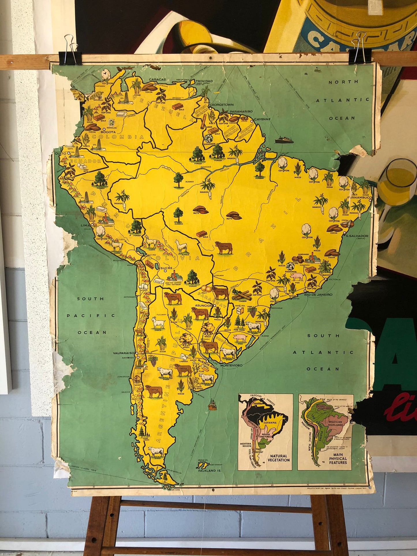 South American Map