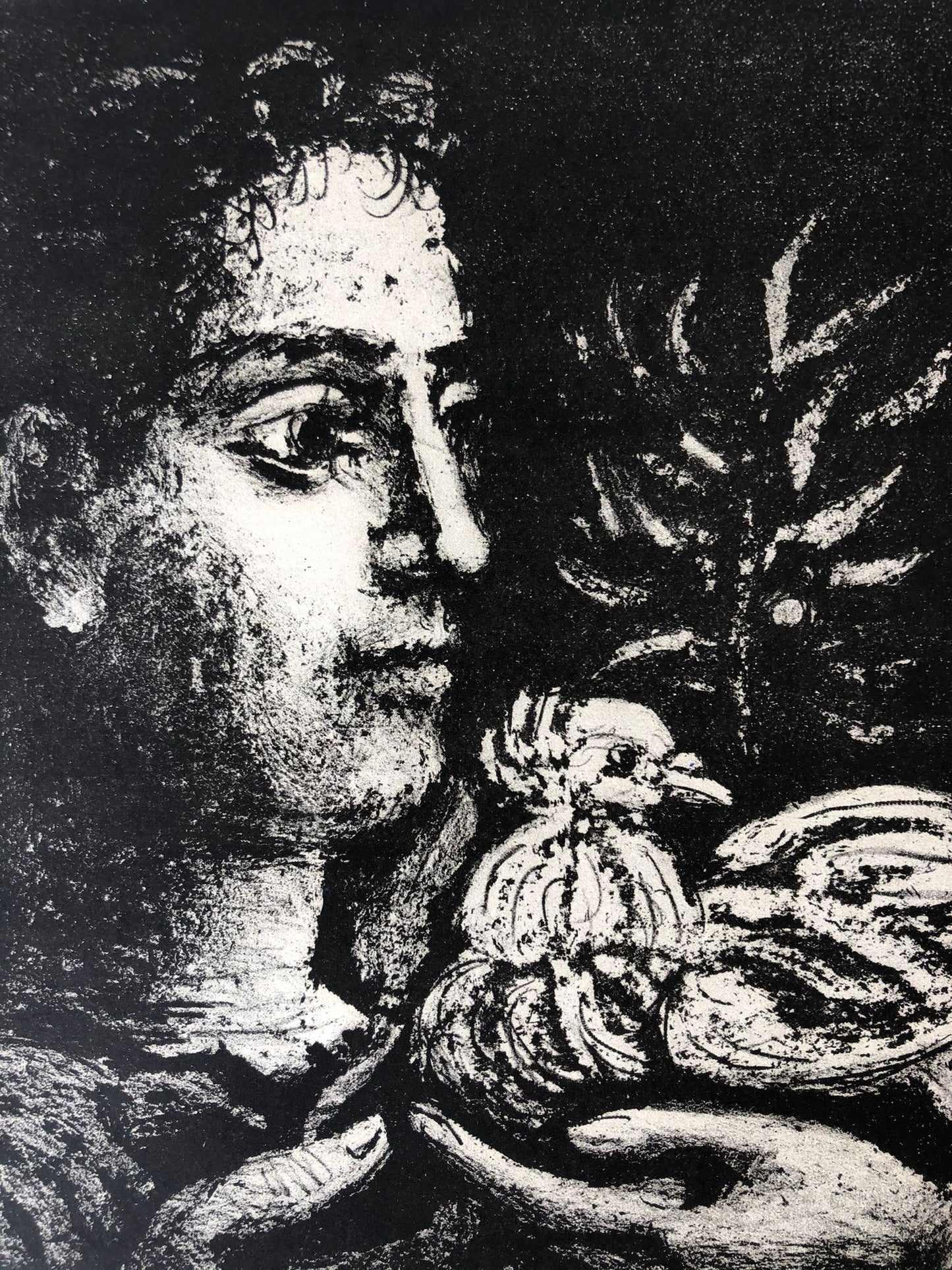 Picasso Exhibition Poster