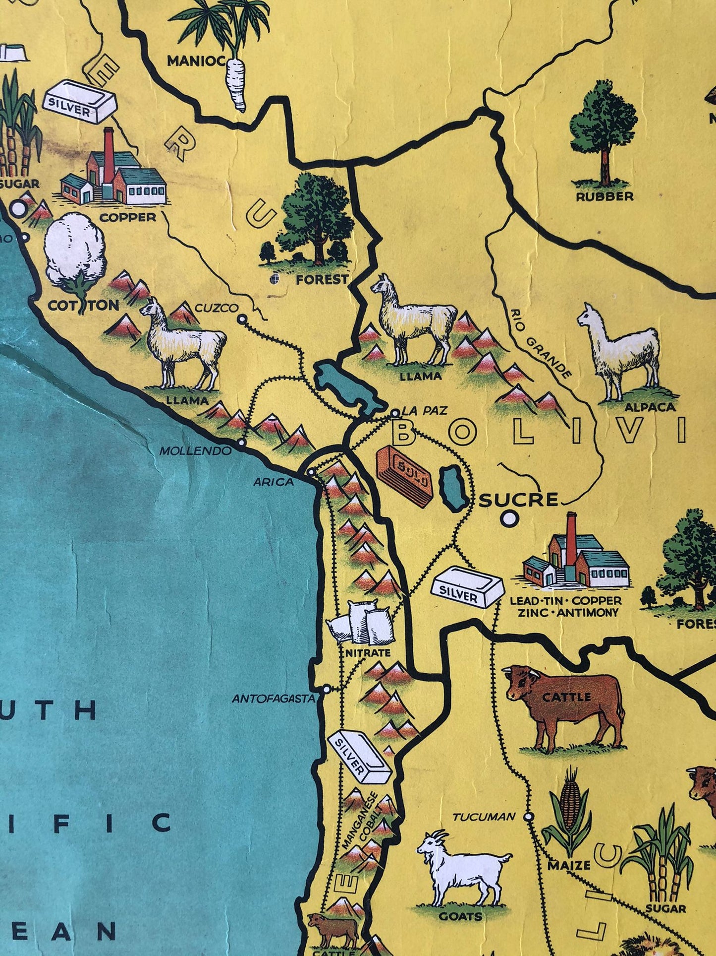 South American Map
