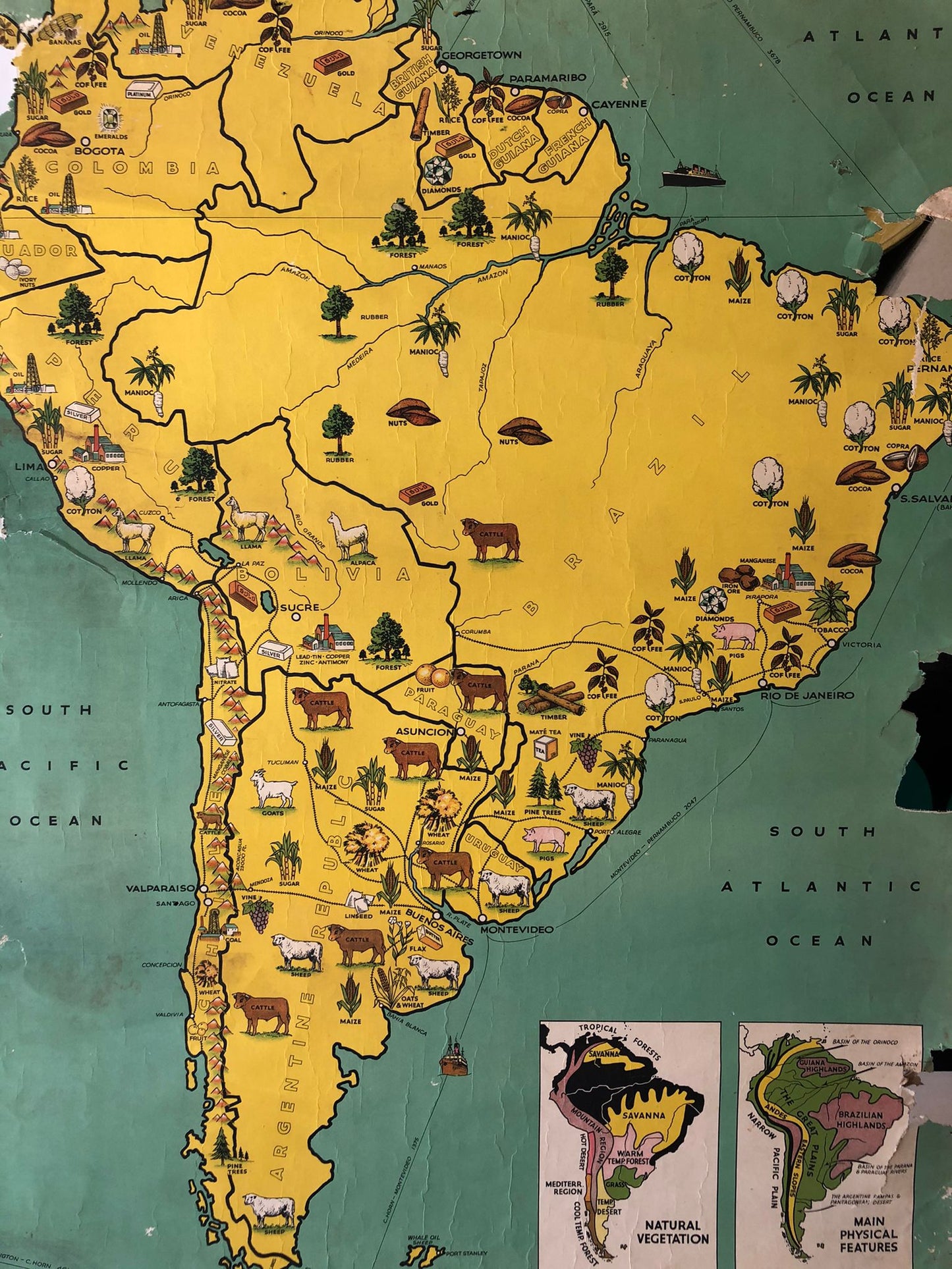 South American Map
