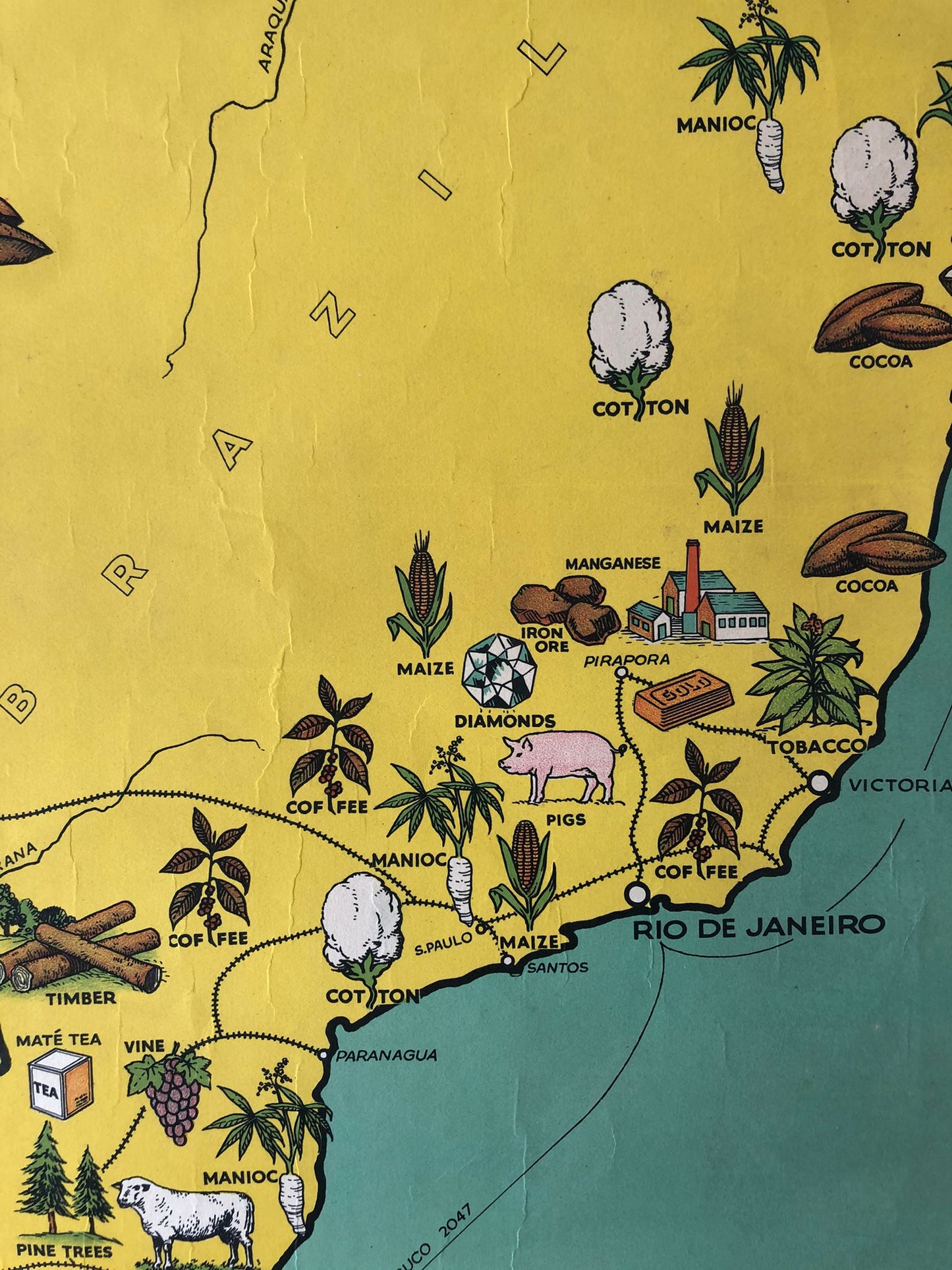 South American Map