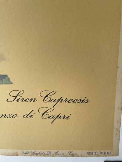 Carthusia – Profumi di Capri