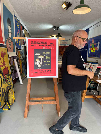 Poisonous Mushrooms – Amanita Phalloides