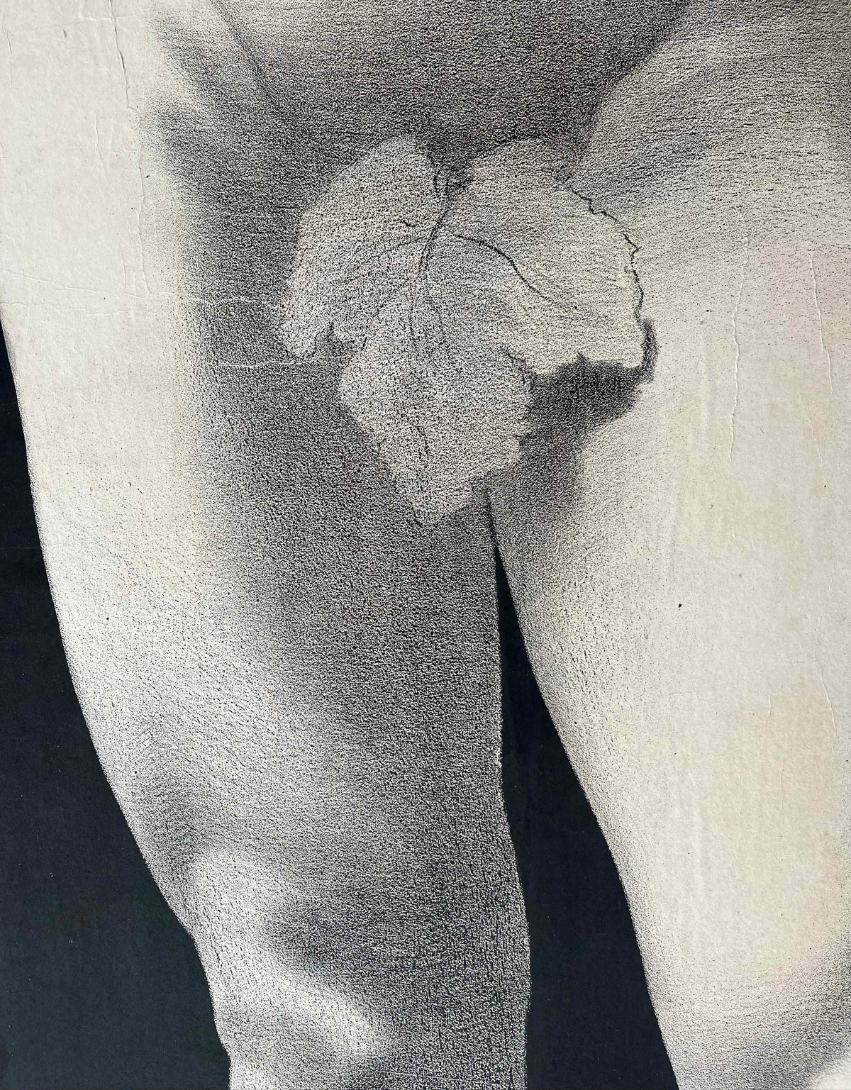 Male Nude Study