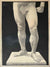 Male Nude Study
