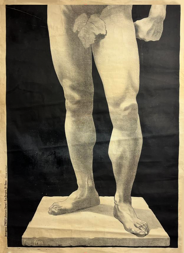 Male Nude Study