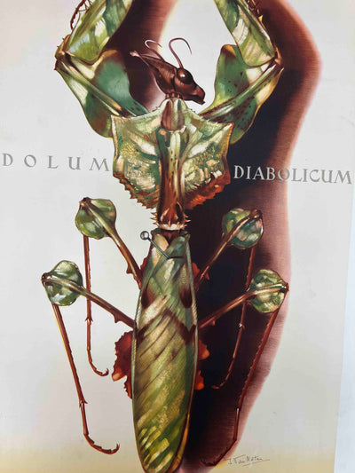 Musée Royal du Congo Belge