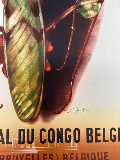 Musée Royal du Congo Belge