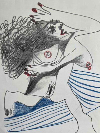 Picasso La Collezione Nascosta