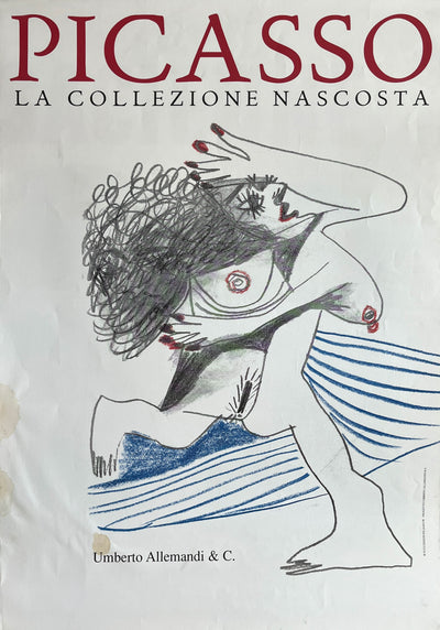 Picasso La Collezione Nascosta