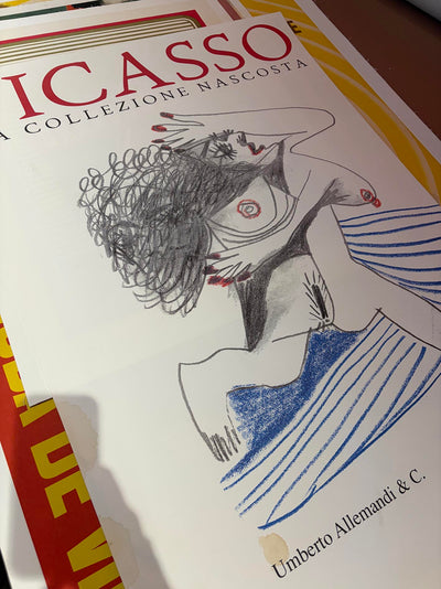 Picasso: La Collezione Nascosta