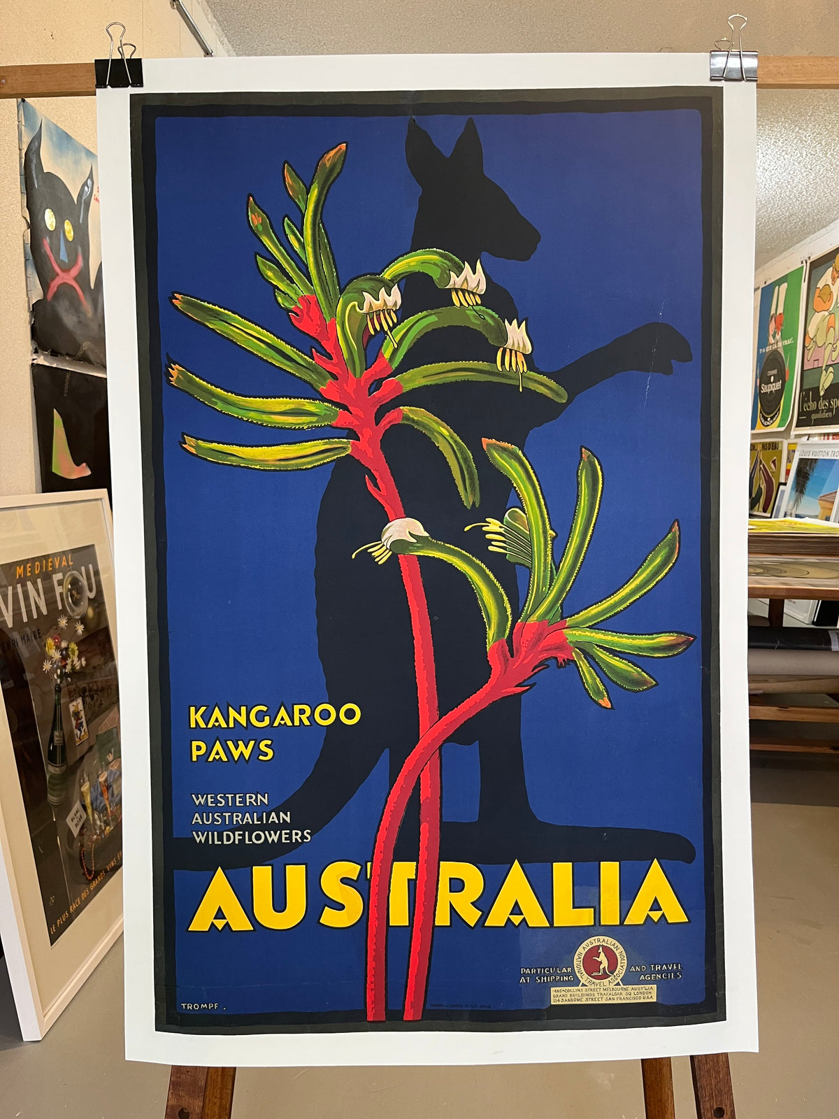 Trompf: Kangaroo Paws, WA Wildflowers