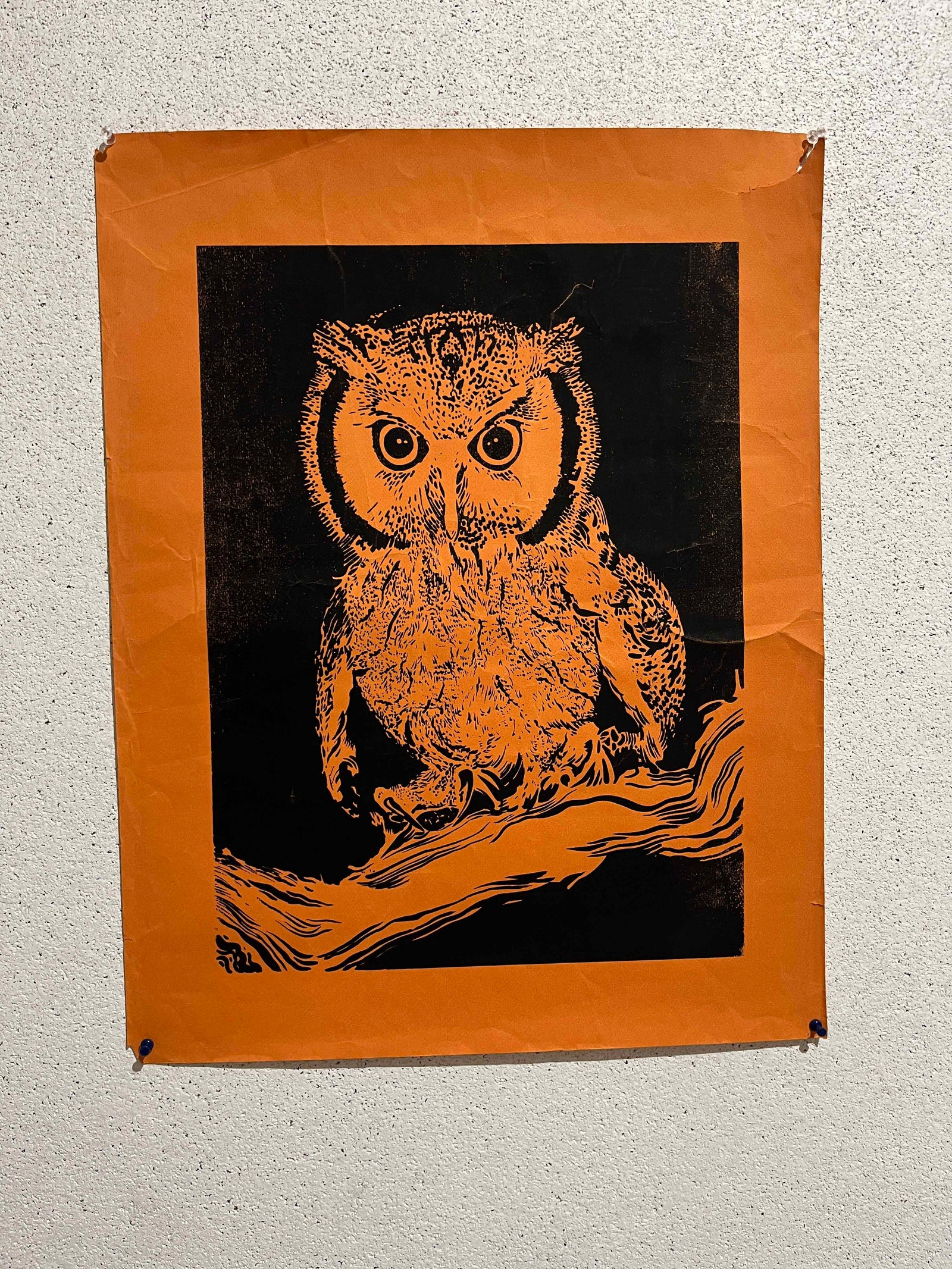 AG: Villemot Owl