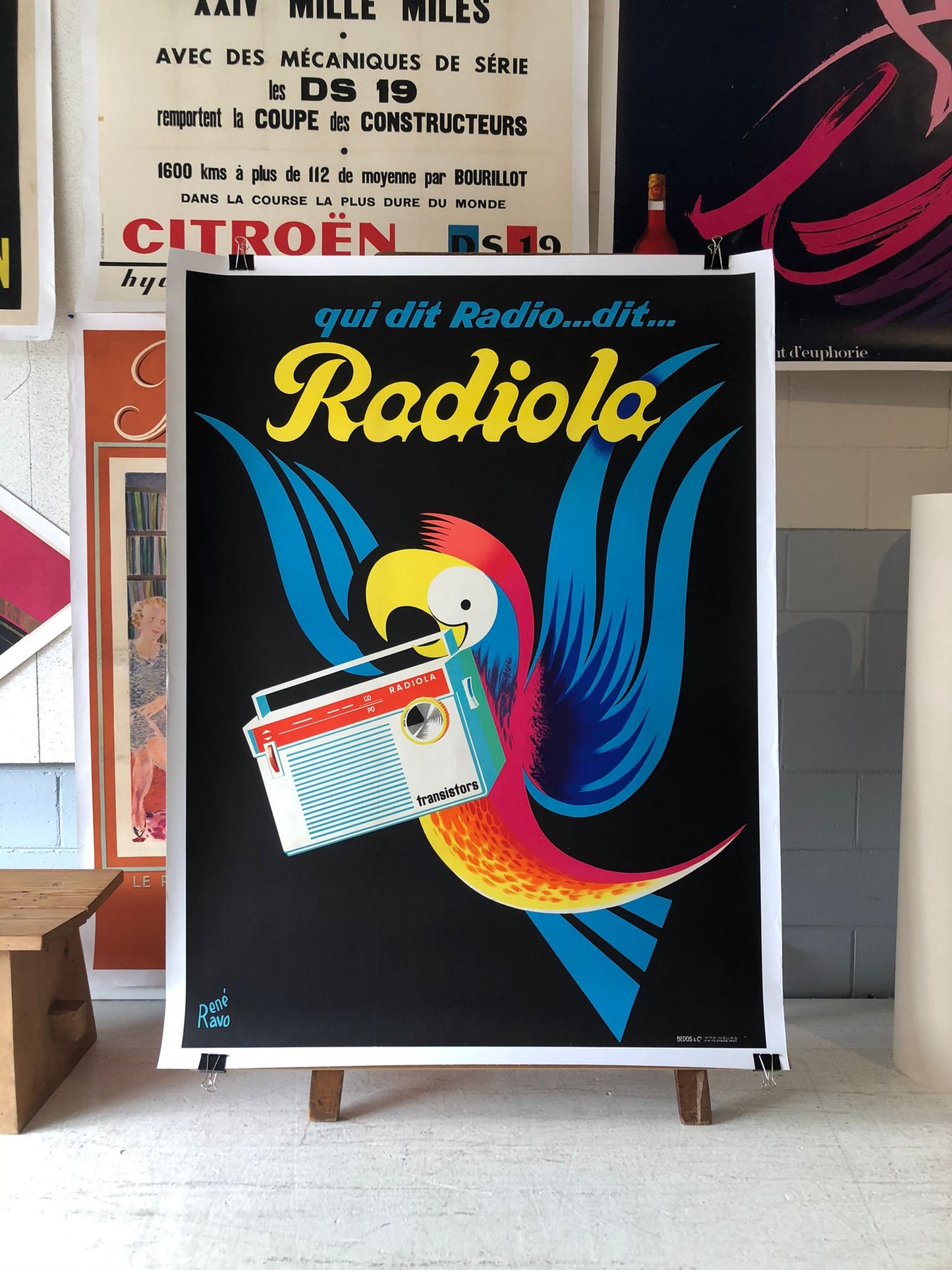 Radiola by Rene Ravo