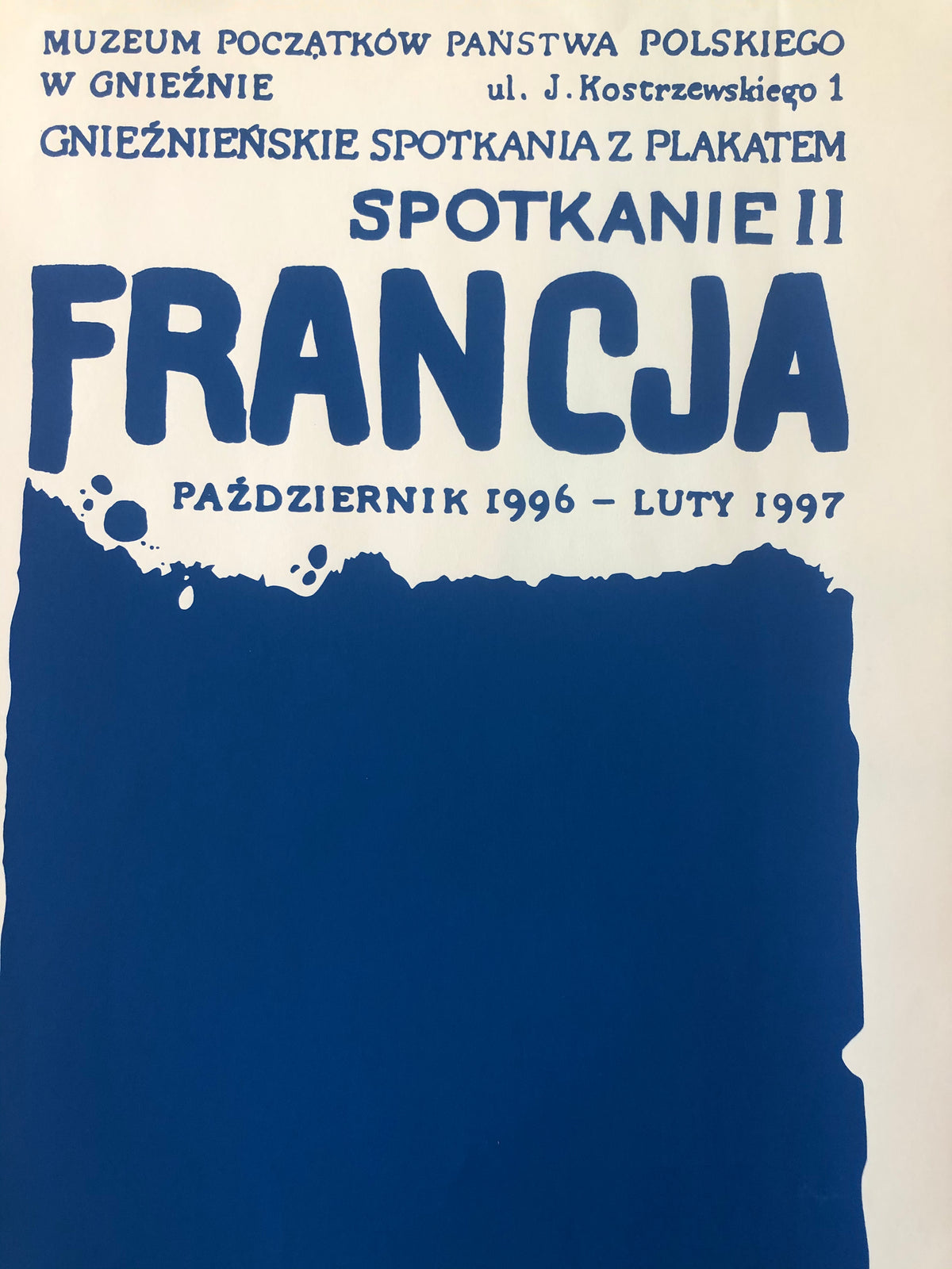 Francja Plakat Polish Poster
